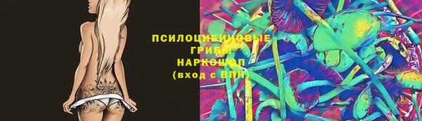 ГАЛЛЮЦИНОГЕННЫЕ ГРИБЫ Кинешма